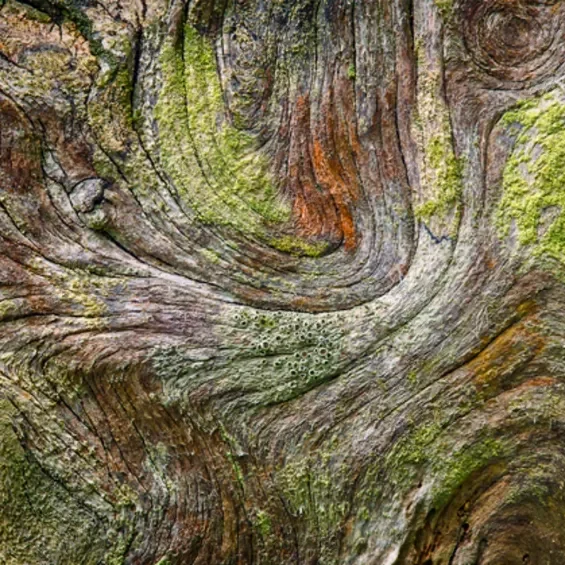 NaturalStrukture